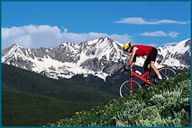 Relax.  It's Covered.